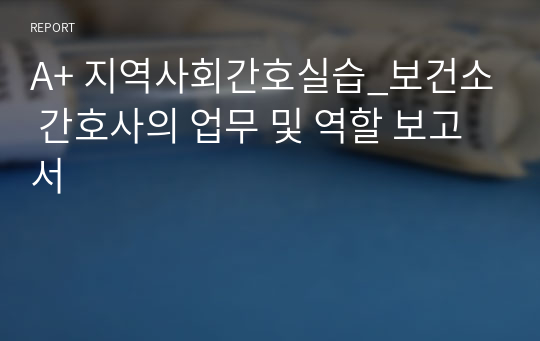 A+ 지역사회간호실습_보건소 간호사의 업무 및 역할 보고서