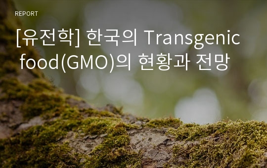 [유전학] 한국의 Transgenic food(GMO)의 현황과 전망