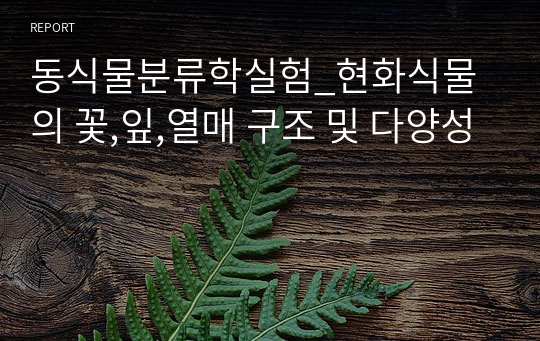 동식물분류학실험_현화식물의 꽃,잎,열매 구조 및 다양성