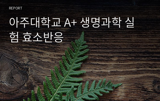 아주대학교 A+ 생명과학 실험 효소반응