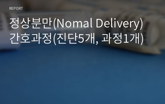A+ 정상분만(Nomal Delivery) 간호과정(진단5개, 과정1개)