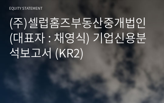 (주)셀럽홈즈부동산중개법인 기업신용분석보고서 (KR2)