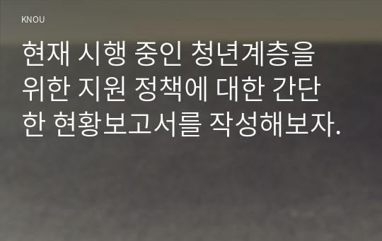 현재 시행 중인 청년계층을 위한 지원 정책에 대한 간단한 현황보고서를 작성해보자.