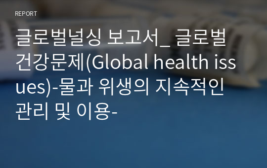 글로벌널싱 보고서_ 글로벌 건강문제(Global health issues)-물과 위생의 지속적인 관리 및 이용-