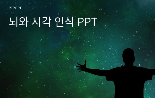 뇌와 시각 인식 PPT