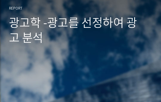 광고학 -광고를 선정하여 광고 분석