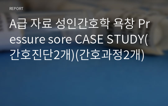 A급 자료 성인간호학 욕창 Pressure sore CASE STUDY(간호진단2개)(간호과정2개)