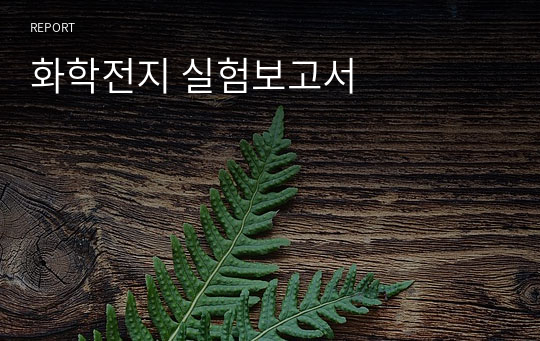 화학전지 실험보고서