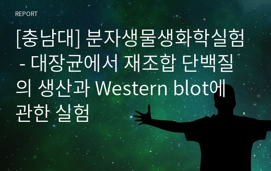 [충남대] 분자생물생화학실험 - 대장균에서 재조합 단백질의 생산과 Western blot에 관한 실험