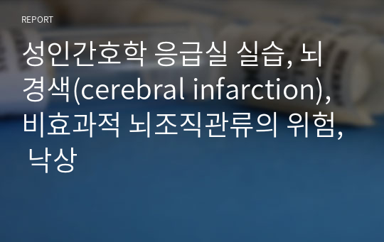 성인간호학 응급실 실습, 뇌경색(cerebral infarction), 비효과적 뇌조직관류의 위험, 낙상