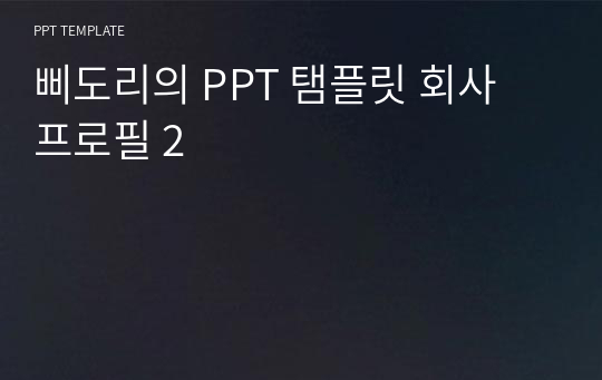 삐도리의 PPT 탬플릿 회사 프로필 2