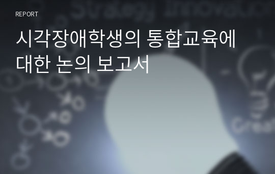 시각장애학생의 통합교육에 대한 논의 보고서