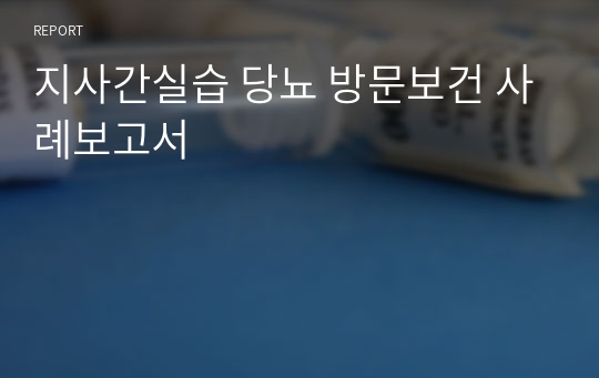 지사간실습 당뇨 방문보건 사례보고서