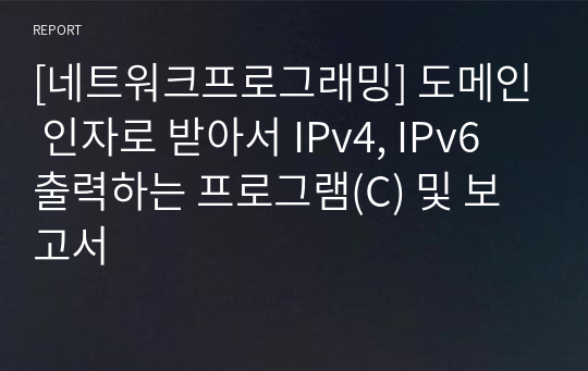 [네트워크프로그래밍] 도메인 인자로 받아서 IPv4, IPv6 출력하는 프로그램(C) 및 보고서