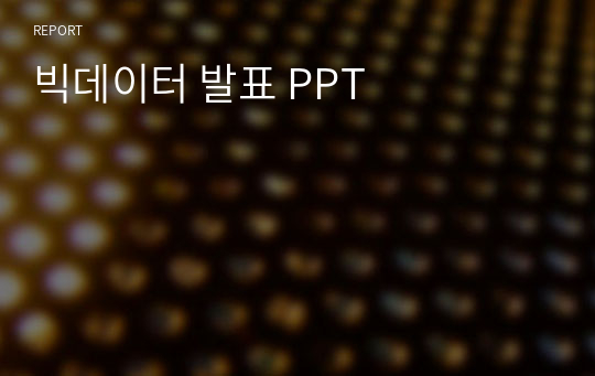 빅데이터 발표 PPT