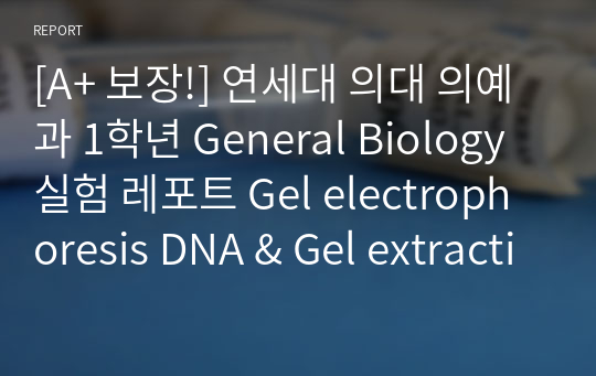 [A+ 보장!] 연세대 의대 의예과 1학년 General Biology 실험 레포트 Gel electrophoresis DNA &amp; Gel extraction