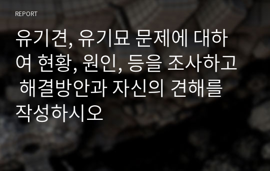 유기견, 유기묘 문제에 대하여 현황, 원인, 등을 조사하고 해결방안과 자신의 견해를 작성하시오