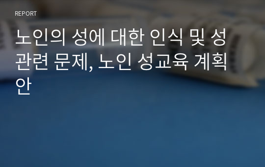 노인의 성에 대한 인식 및 성관련 문제, 노인 성교육 계획안