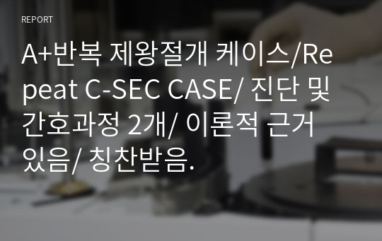 A+반복 제왕절개 케이스/Repeat C-SEC CASE/ 진단 및 간호과정 2개/ 이론적 근거 있음/ 칭찬받음.