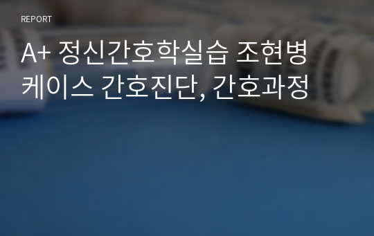 A+ 정신간호학실습 조현병 케이스 간호진단, 간호과정