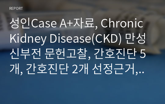 성인Case A+자료, Chronic Kidney Disease(CKD) 만성신부전 문헌고찰, 간호진단 5개, 간호진단 2개 선정근거, 간호과정 9개 자세함