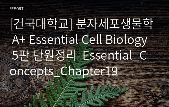 [건국대학교] 분자세포생물학 A+ Essential Cell Biology 5판 단원정리  Essential_Concepts_Chapter19