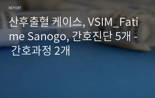 산후출혈 케이스, VSIM_Fatime Sanogo, 간호진단 5개 - 간호과정 2개