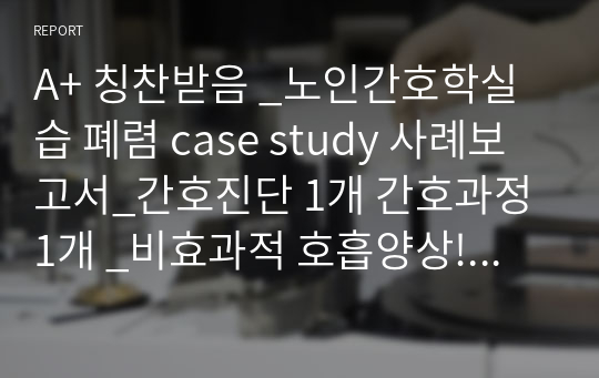 A+ 칭찬받음 _노인간호학실습 폐렴 case study 사례보고서_간호진단 1개 간호과정 1개 _비효과적 호흡양상! 완전 꼼꼼함