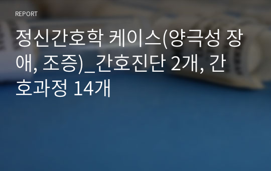 정신간호학 케이스(양극성 장애, 조증)_간호진단 2개, 간호과정 14개