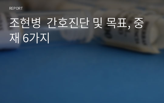 조현병  간호진단 및 목표, 중재 6가지