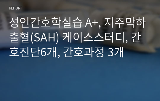 성인간호학실습 A+, 지주막하출혈(SAH) 케이스스터디, 간호진단6개, 간호과정 3개