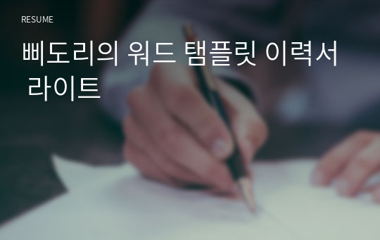 삐도리의 워드 탬플릿 이력서 라이트