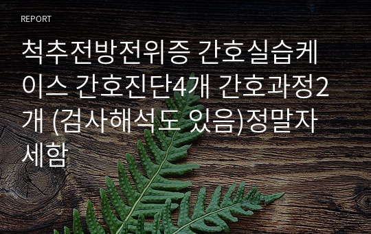 척추전방전위증 간호실습케이스 간호진단4개 간호과정2개 (검사해석도 있음)정말자세함