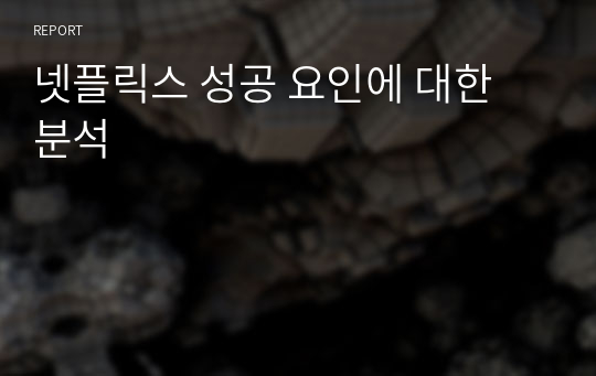 넷플릭스 성공 요인에 대한 분석