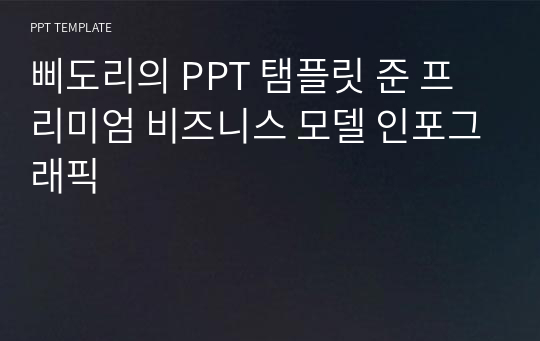 삐도리의 PPT 탬플릿 준 프리미엄 비즈니스 모델 인포그래픽