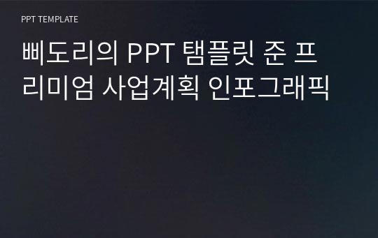 삐도리의 PPT 탬플릿 준 프리미엄 사업계획 인포그래픽