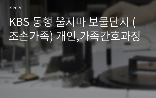 KBS 동행 울지마 보물단지 (조손가족) 개인,가족간호과정