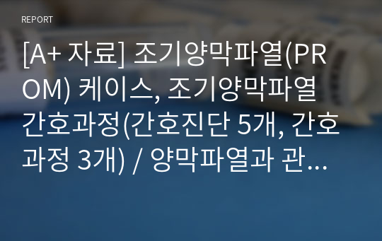 [A+ 자료] 조기양막파열(PROM) 케이스, 조기양막파열 간호과정(간호진단 5개, 간호과정 3개) / 양막파열과 관련된 감염위험성, 분만통증, 출혈위험성 등