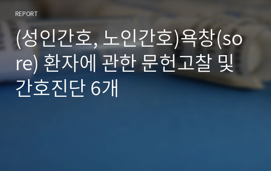 (성인간호, 노인간호)욕창(sore) 환자에 관한 문헌고찰 및 간호진단 6개