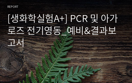 [생화학실험A+] PCR 및 아가로즈 전기영동_예비&amp;결과보고서