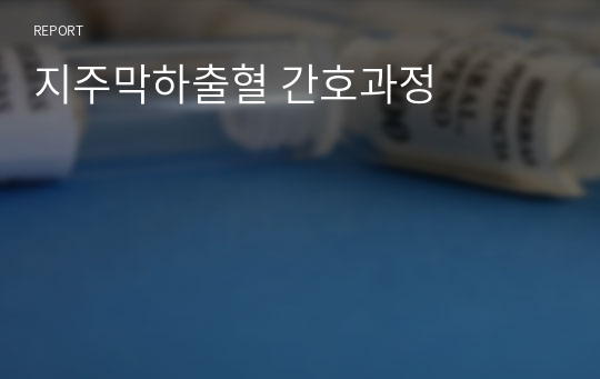 지주막하출혈 간호과정