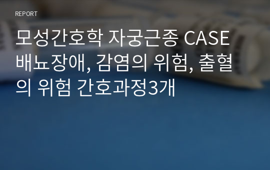 모성간호학 자궁근종 CASE 배뇨장애, 감염의 위험, 출혈의 위험 간호과정3개