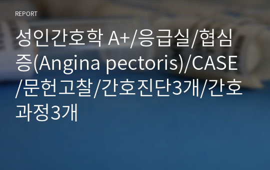 성인간호학 A+/응급실/협심증(Angina pectoris)/CASE/문헌고찰/간호진단3개/간호과정3개