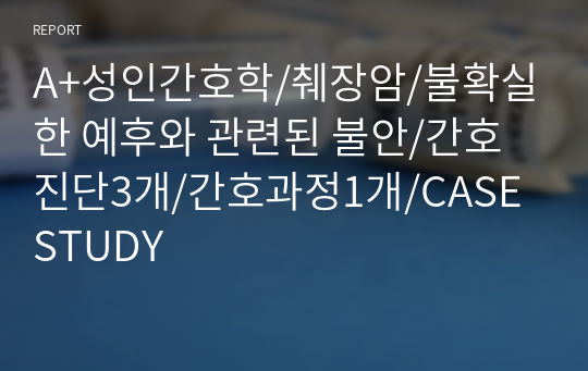 A+성인간호학/췌장암/불확실한 예후와 관련된 불안/간호진단3개/간호과정1개/CASE STUDY