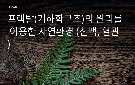 프랙탈(기하학구조)의 원리를 이용한 자연환경 (산맥, 혈관)