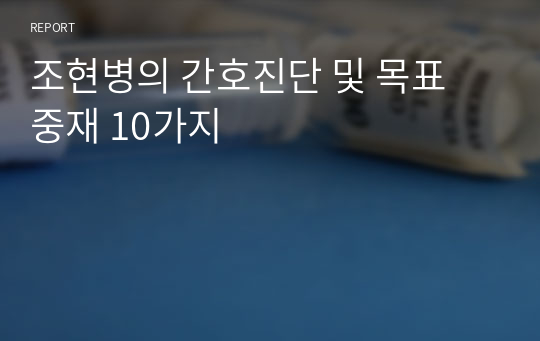 조현병의 간호진단 및 목표 중재 10가지