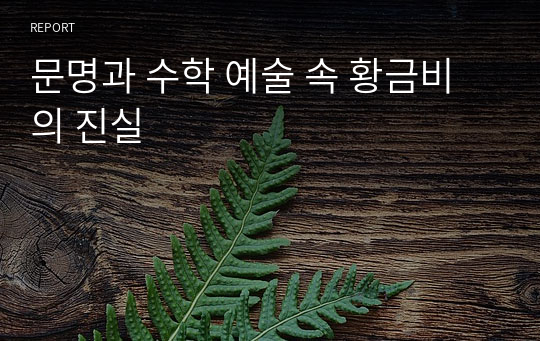 문명과 수학 예술 속 황금비의 진실