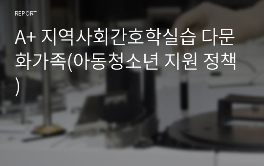 A+ 지역사회간호학실습 다문화가족(아동청소년 지원 정책)