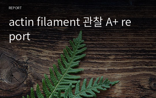 actin filament 관찰 A+ report