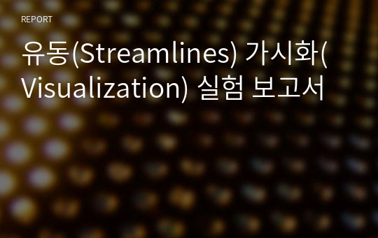 유동(Streamlines) 가시화(Visualization) 실험 보고서